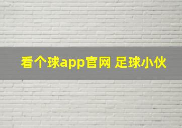 看个球app官网 足球小伙